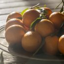 선우농장 이미지