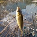 월동소류지 이미지