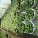 순지농장 이미지