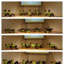 snpe체형교정 이미지