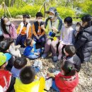 정읍사공원 유아숲체험원 이미지