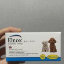 엘동물병원 | 엘녹스 영국 시니어 노령견 강아지 망병기 영양제