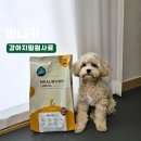 한양사료 주식회사 | 피니키 말티푸 강아지 가수분해 사료 밀윔앤크릴 레시피 솔직후기