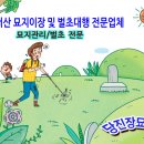 당진장묘토탈