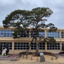 문화해설사의집(이병철생가) | 지수 승산 부자마을,이병철 생가 탐방기