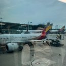 766 | 아시아나 치앙마이 인천 OZ766 후기 : 기내식 좌석 직항 리뷰