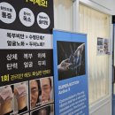 도도스뷰티
