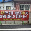 (유)세진렌트카 이미지