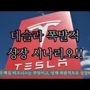 테슬라 폭발적 성장 시나리오 이미지