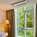 낙산비치호텔 이미지