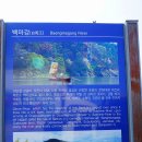 충남 부여 부소산성 트레킹 1 이미지