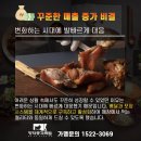착한총각족발