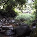 녹색향기 펜션 이미지