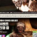주렁주렁 영등포 할인 서울 실내동물원 주말 아이와 가볼만한곳 이미지