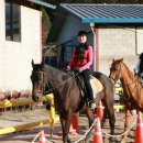 동서울 승마장 이미지