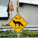 불로고분 주차장 내 | [경북 영주 여행] 여우,고분, 절 V.S 서원