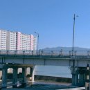 남대천강릉교밑 이미지