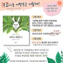 벼리나무