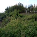 부등 농장 이미지