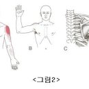 "월간 클리어 05년 12월호" 연재 (連載) 글 대원근에 관한 한글파일 원고 입니다 이미지