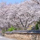 사회복지법인여수애양병원 이미지