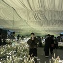 487 | [순천 여행] 순천만국가정원 갔다가 들린 순천만487카페 솔직후기 (내돈내산)