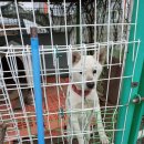 낙동남로 이미지