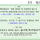 한일APT