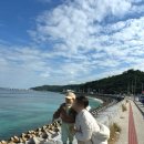 세라농장(2농장) | 아기랑 오키나와 Day 2 | 파인애플 파크, 츄라우미 수족관