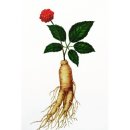 장생의료기 이미지