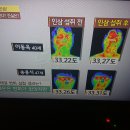 장생인삼
