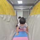 천전동8 Daum카페