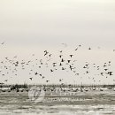 하단동1211 이미지