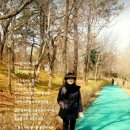 쉼표 Daum카페