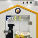 올리스24 명지점 이미지