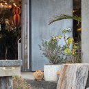 스테이 호자 | 혼자 2박3일 제주도 남동쪽 여행 day(2) - 나의 지독한 고양이 사랑 🐱