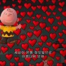 샵셀럽네일