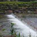 인제백담사십이선녀펜션 이미지