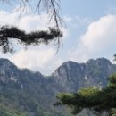 풍류정민박 네이버블로그