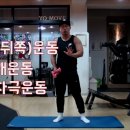 삼두 이미지