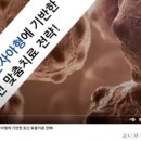 [수목요양병원] youtube.com 좋은 정보 많아요 이미지