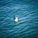 유람선길 이미지