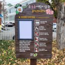 무궁화어린이공원 수 이미지