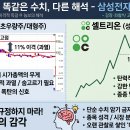 왝더독