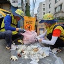 낙성대동-27 이미지