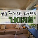 네이처힐 | [양평] 애견동반 가성비 풀빌라 펜션 ‘네이처힐’ 후기