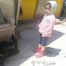 곰돌이민박 이미지