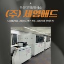 환영인쇄소 | 소량인데도 퀄리티가 다름! 부산 디지털인쇄장비 갖춘 세영애드인쇄소 이용 후기