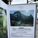 알프스시네마(1, 2관) | 10회 울산울주세계산악영화제 후기