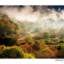 비밀정원 이미지